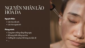 nguyên nhân lão hóa da và cách phòng tránh