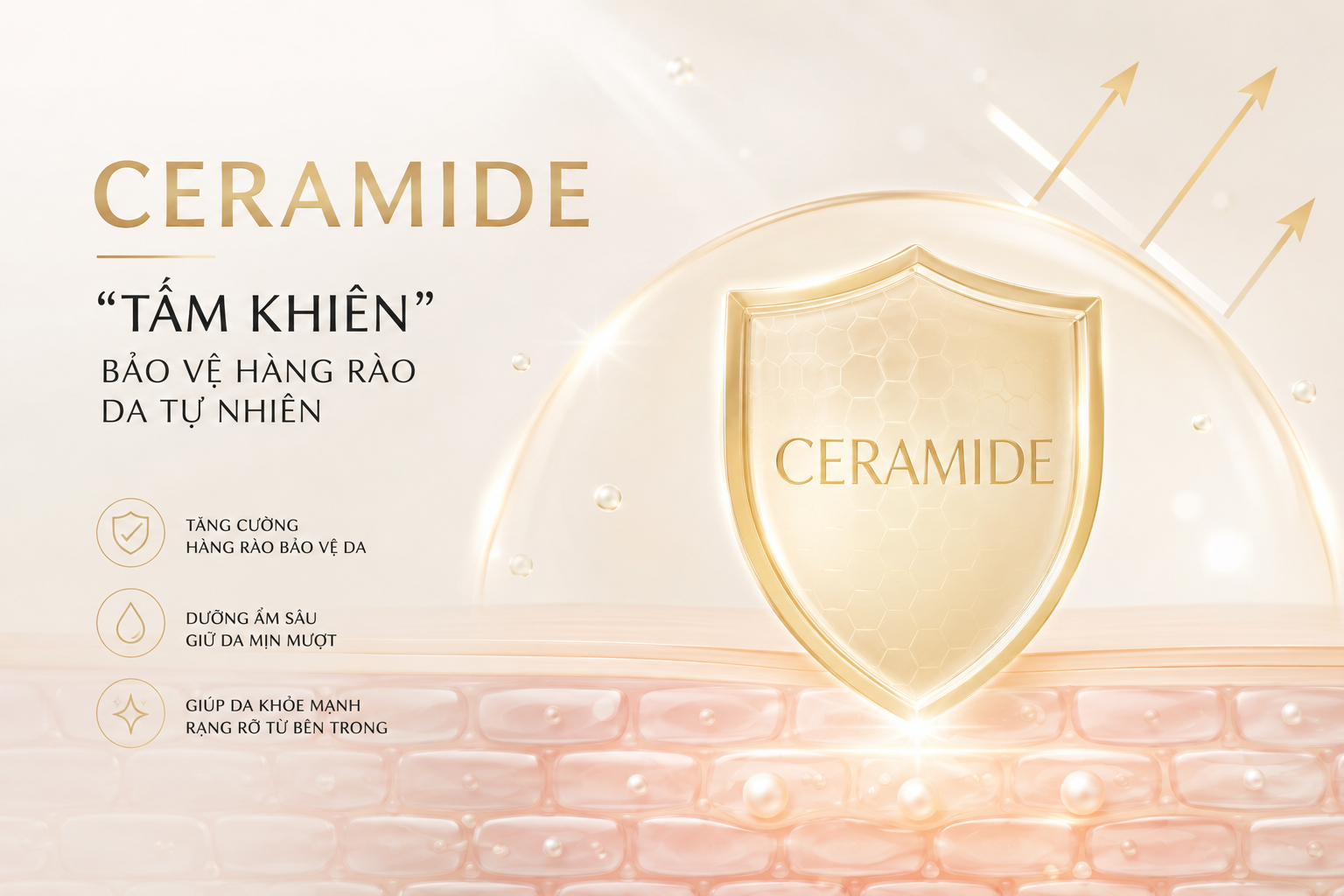 Ceramide – “Tấm khiên” che chở hàng rào da thiên nhiên